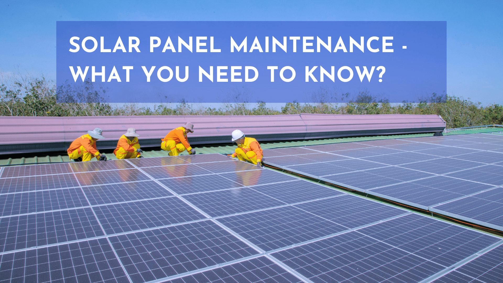 Solar Panel Maintenance - What You Need To Know