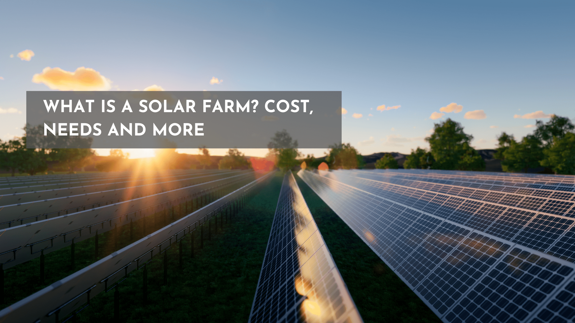 What is a Solar Farm - Cost-Needs and more